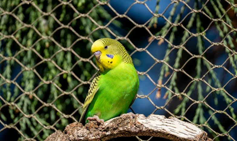 A vihar után: Az én utam az igazi boldogsághoz