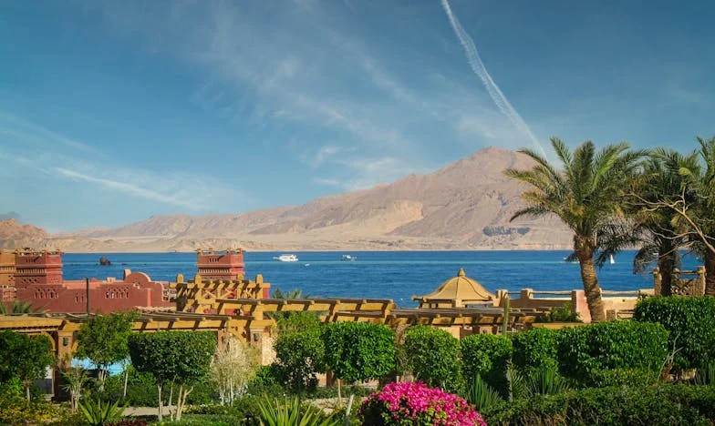 Amikor a lányom azt mondta: Elmegyek – Egy magyar anya szívből jövő vallomása