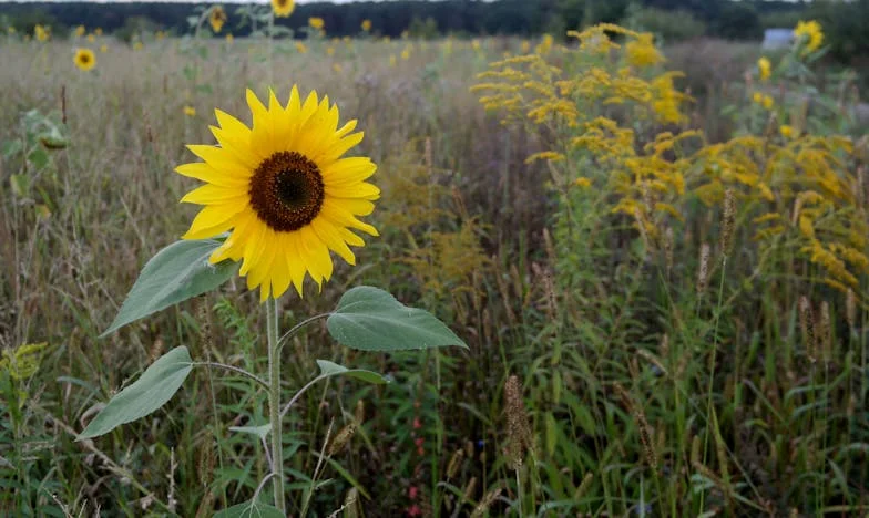 Amikor a világom darabokra hullott – Egy elhagyott feleség újjászületése Budapesten