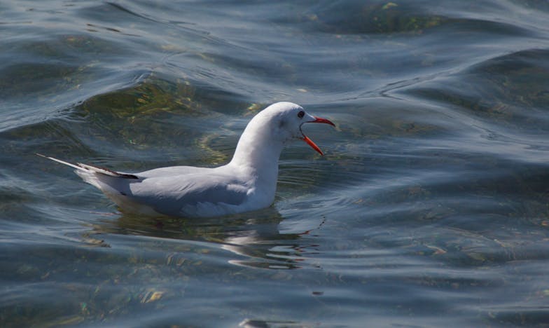 Amikor elhallgattam az anyósom előtt: Hogyan mentette meg a csend a házasságomat