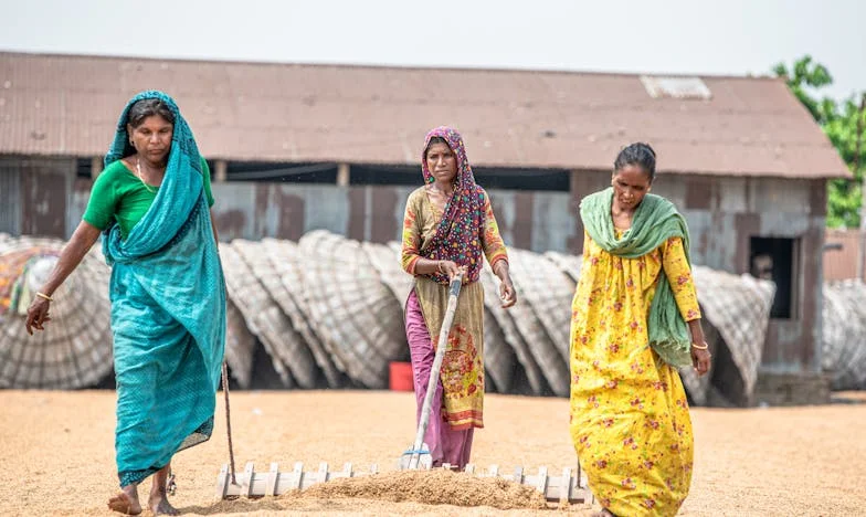 Árulás a Mátrában: Egy magyar nő útja a megbocsátásig és újrakezdésig