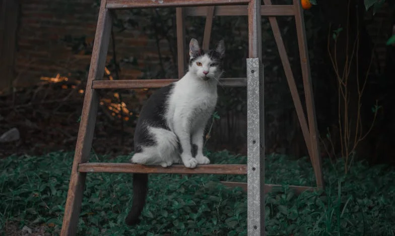 Az a hűtlenség, amit nem lehet elfelejteni: Találkozás a férjem múltjából való nővel