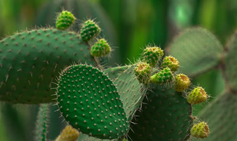 Az ajándék, ami szétszakította a családomat: Egy jó szándék tragédiája