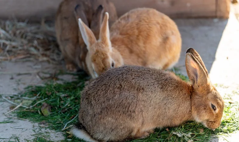 Az ajtó előtt álló idegen – Egy titok, amit anyám elhallgatott