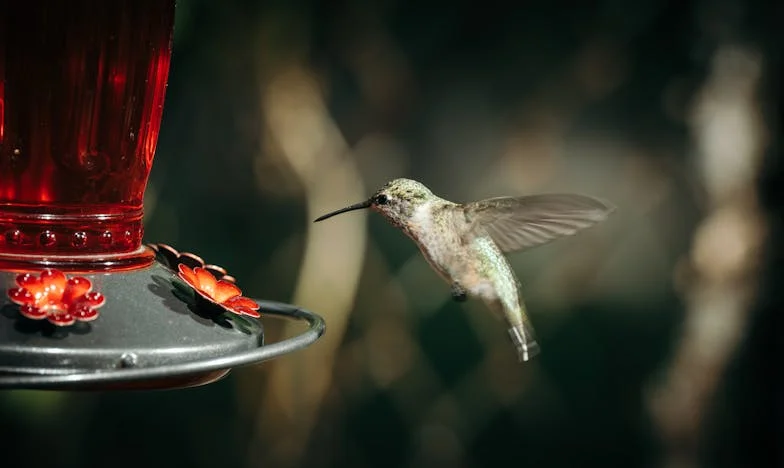 Az árulás arca nélkül – Egy házasság csendben széttörő bizalma