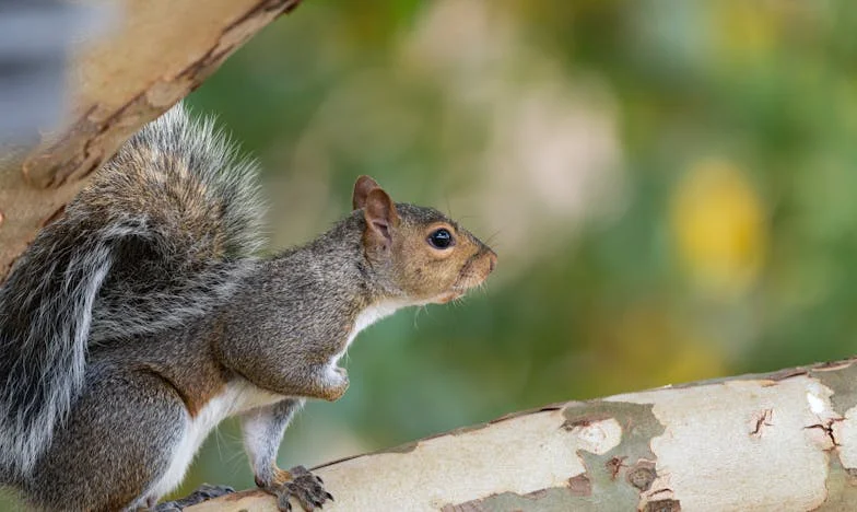 „Az én fiam már nem az én fiam?” – Egy anya harca a családi szeretetért