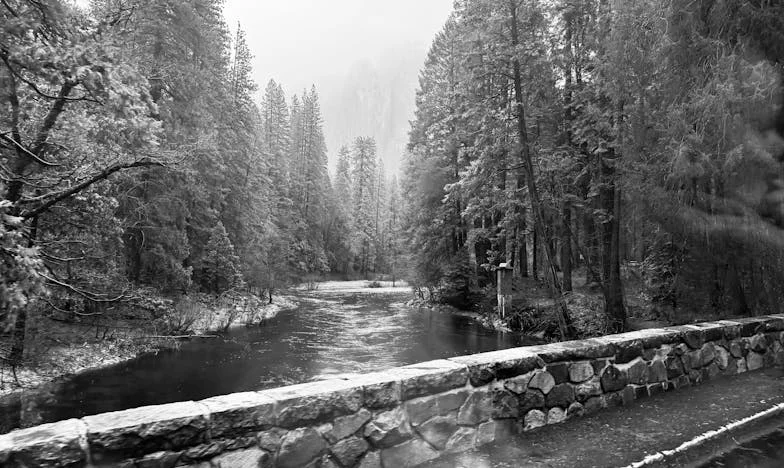 Az utolsó akarat – Egy ismeretlen nő árnyékában