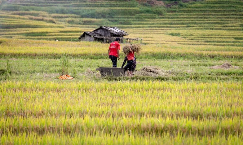Bratnőm, Katalin és az éjszakai lidércem: Egy aláírás, ami pokollá tette az életemet