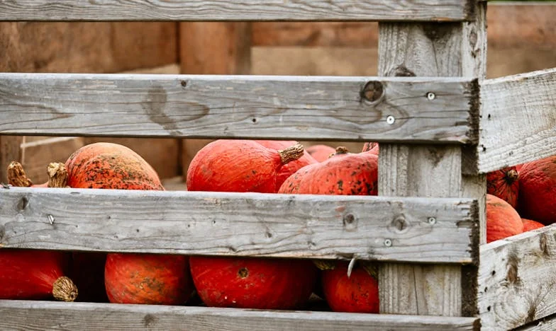 „De hát mama, te mindig is megtehetted volna…” – Egy nyár, ami mindent megváltoztatott