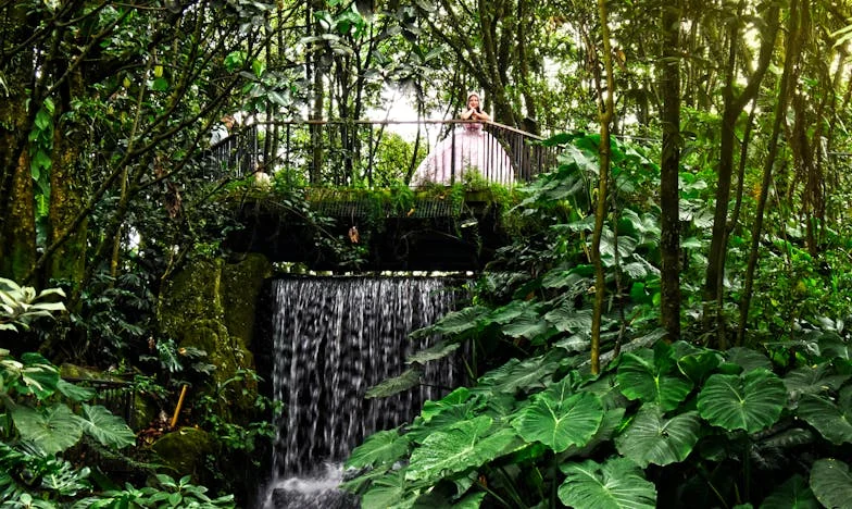 Egy kilencéves fiú utolsó tavasza – Bence története