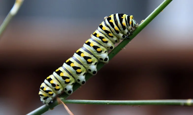 Egy tető alatt: Hogyan éltem túl a betegséget és a férjem árulását