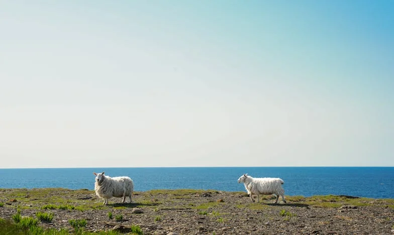 Elfelejtve a Sajátjaim Által: Egy Anya Végső Figyelmeztetése