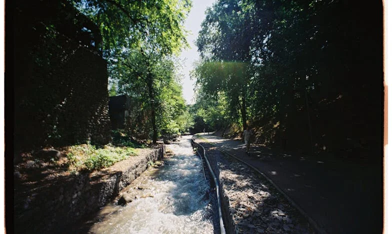 Elmentél, hogy megszülethessek – Egy magyar nő története a meddőségről, családi elvárásokról és újrakezdésről