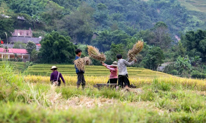 Elszakadt kötelékek: Egy otthonkereső fiú története