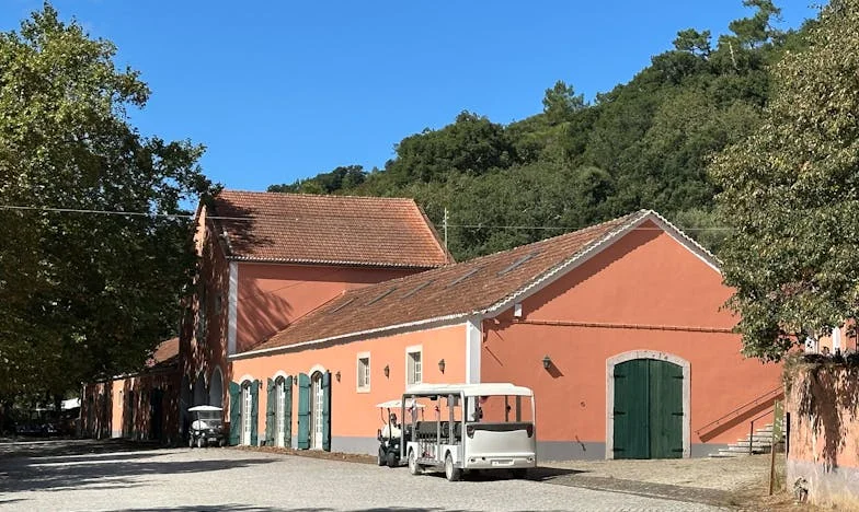 Feláldozott Álmok: Egy magyar nő küzdelme a családjáért és önmagáért