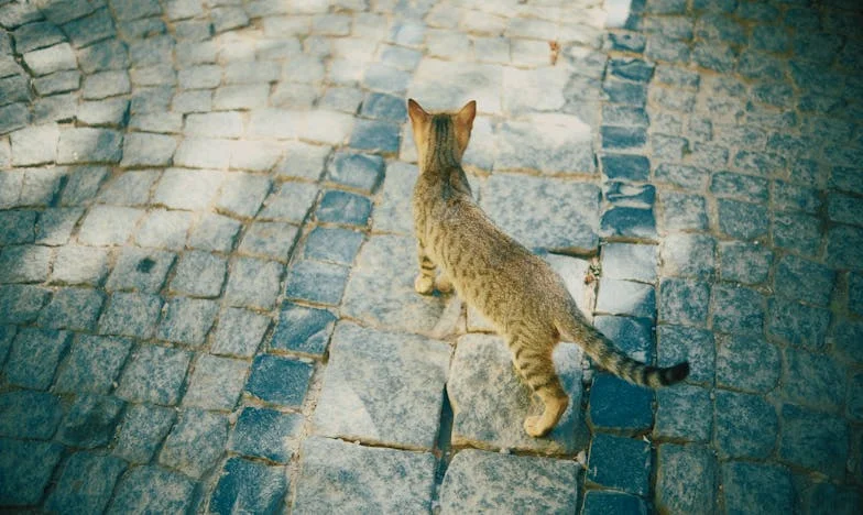 Fiam visszaköltözött válása után: Most az otthonom romokban hever