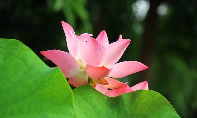 Határok és viharok: Egy családi ünnep, ami mindent megváltoztatott