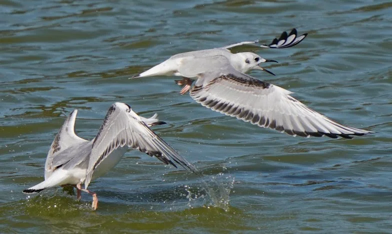 Húsz év után egyedül: Újrakezdés a romokból