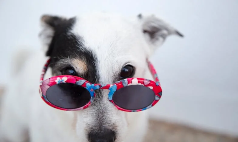 Két család között: Egy anya döntése a saját otthon és az após élete között