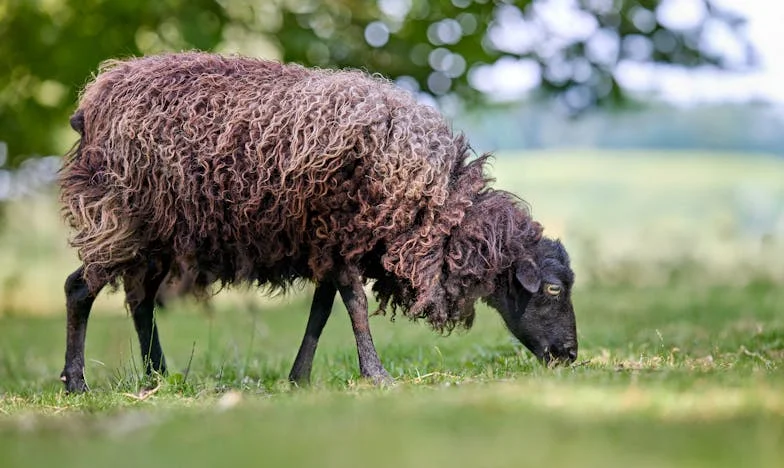 „Lass inkább a volt férjed fizessen!” – Egy mozaikcsalád harca a szeretetért és igazságért