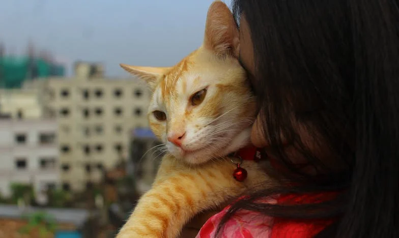 Majka csak ürességet hagyott: Az örökség igazsága, ami szétszakította a családomat