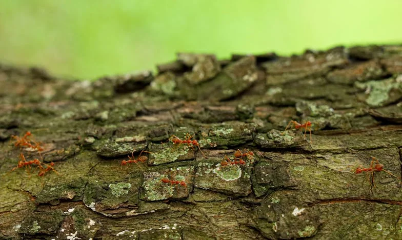 „Nem akarom, hogy a nagymamám otthonba kerüljön!” – Egy családi döntés drámája