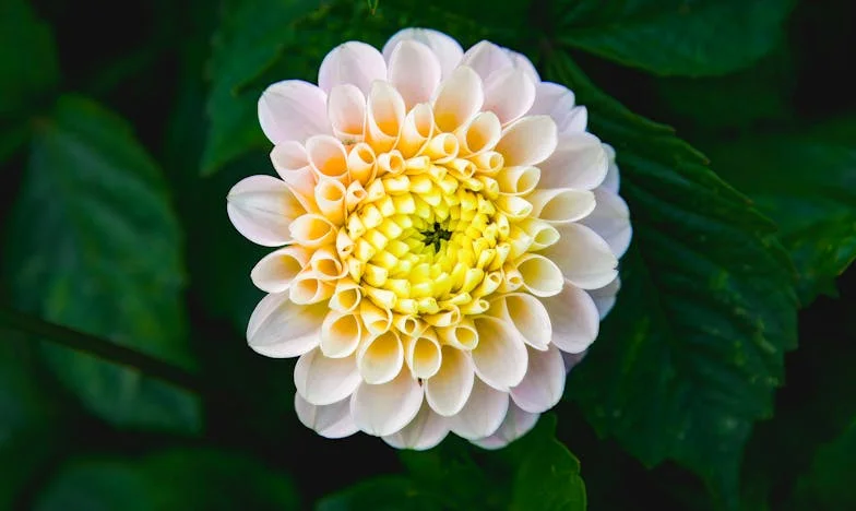 Nem vagyok többé a szolgájuk: Egy magyar anya újjászületése a hallgatás évei után