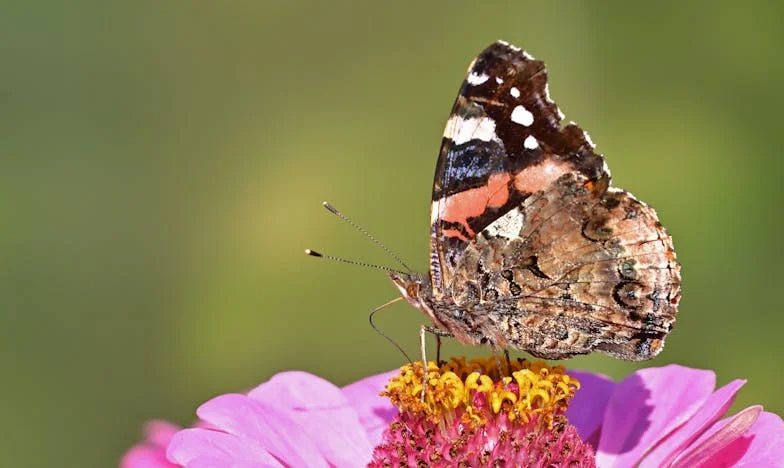 „Ő a házigazda, te csak vendég vagy” – Egy házasság árnyékában