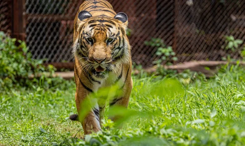 „Sosem voltam jó anya” – Egy vallomás, ami mindent megváltoztatott