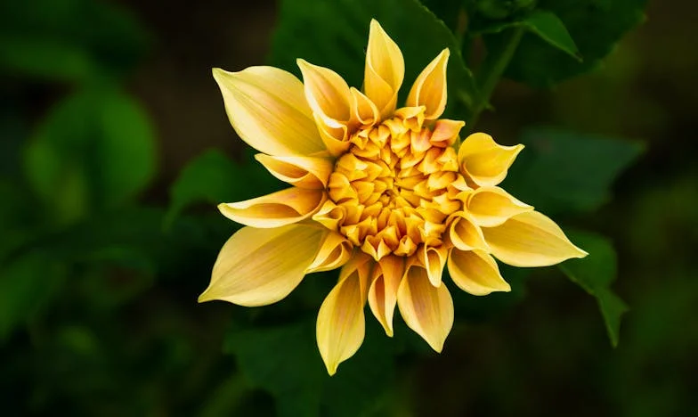 Váratlan vendég: Egy hétvége, ami mindent megváltoztatott