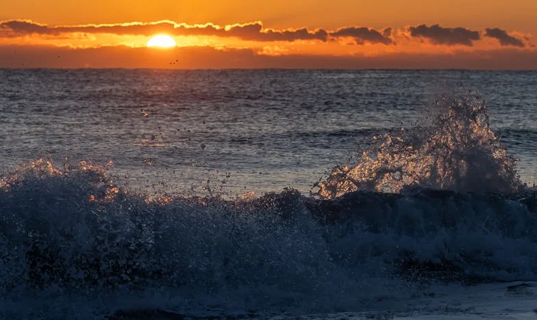 A fizetés nem szeretet: Egy magyar nő útja a félelem és szabadság között