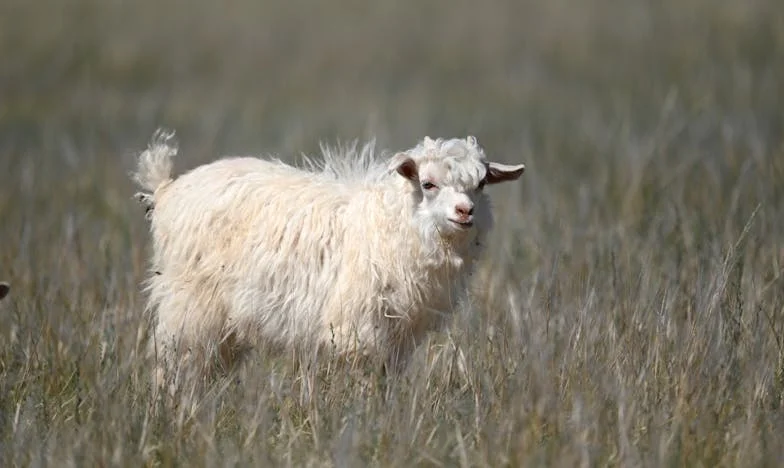 A nyár, amikor elveszítettem a bizalmam – Egy házasság határán