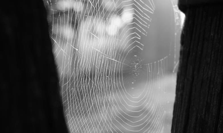 Amikor a barátnőm telefonján hallottam meg a férjem hangját – Egy budapesti nő vallomása a hűtlenségről és újrakezdésről