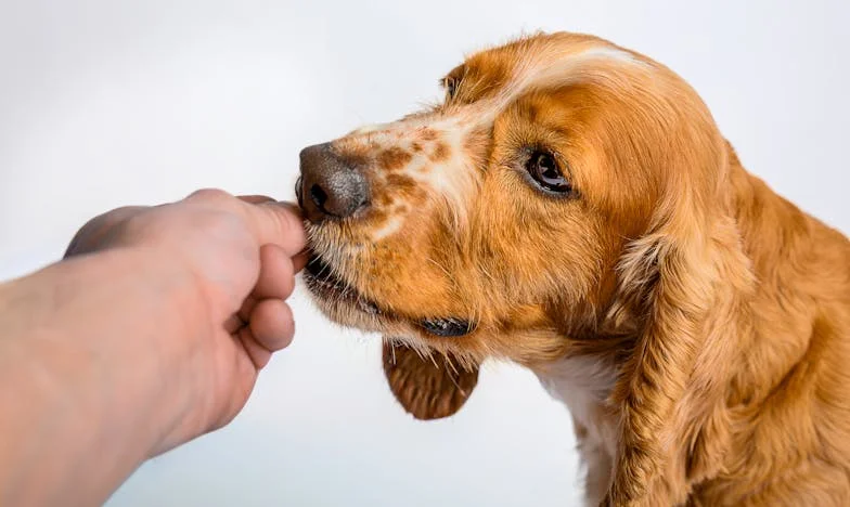 Amikor a lányomért kellett harcolnom – Egy anya küzdelme a családi előítéletekkel szemben