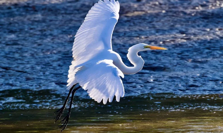 Amikor az anyósomnak nem jutott ereje a fiamra, de a lányára igen – Egy anya szívszorító vallomása