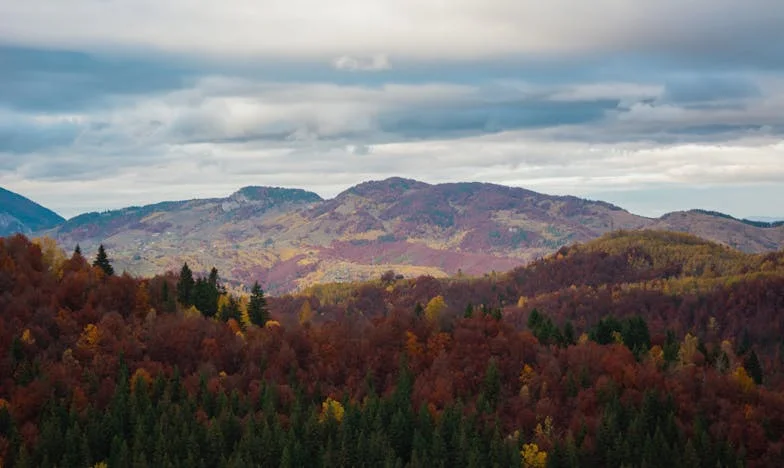 Amikor az otthon már nem otthon: Egy családi árulás és a megbocsátás útja