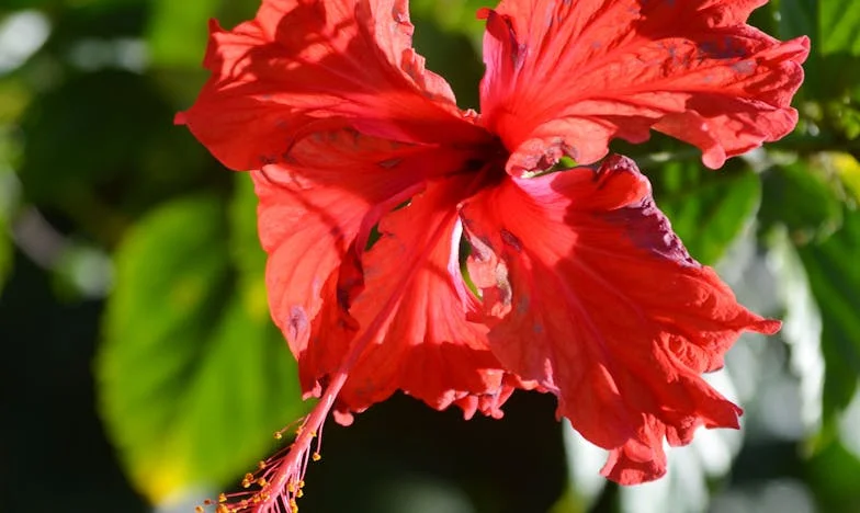 Amikor nagypapa Lajos bezárta az ajtót: Egy család története gyászról, haragról és új szerelemről