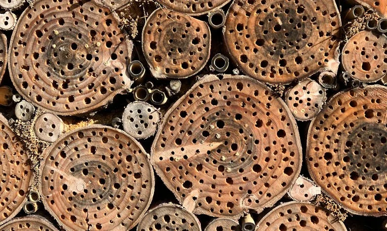 Anyósom Árnyéka: Egy Vasárnapi Ebéd, Ami Mindent Megváltoztatott