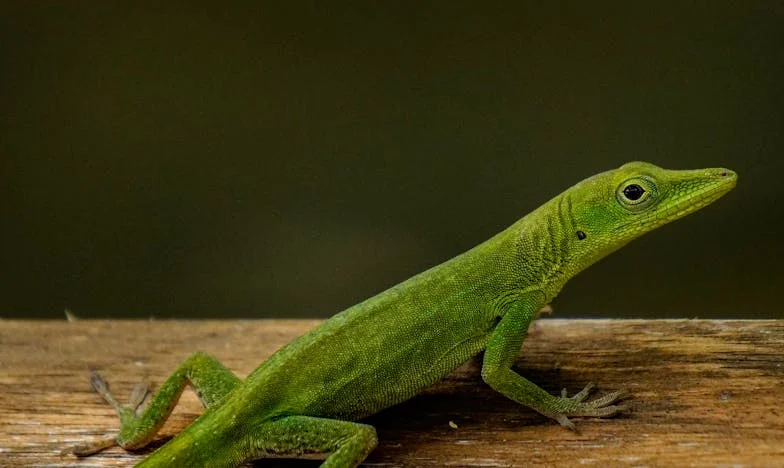 „Az apám most segítséget követel, de sosem szeretett igazán” – Egy magyar család drámája