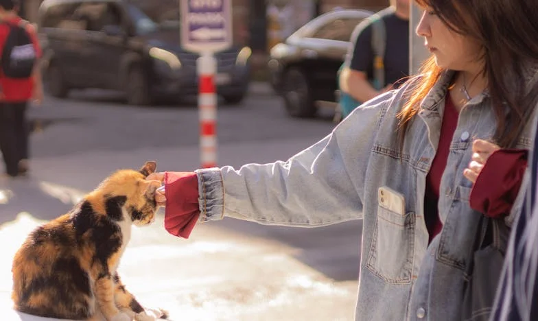 Az élet láthatatlan terhei: Egy magyar anya vallomása