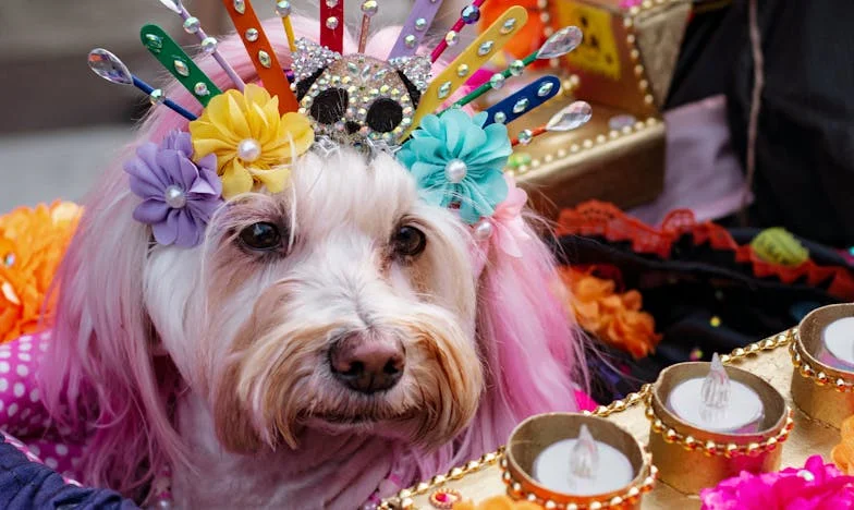 Az igazság ára – Egy magyar család harca a békéért