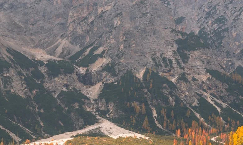 Az olló nyoma: Egy anya harca a fia méltóságáért