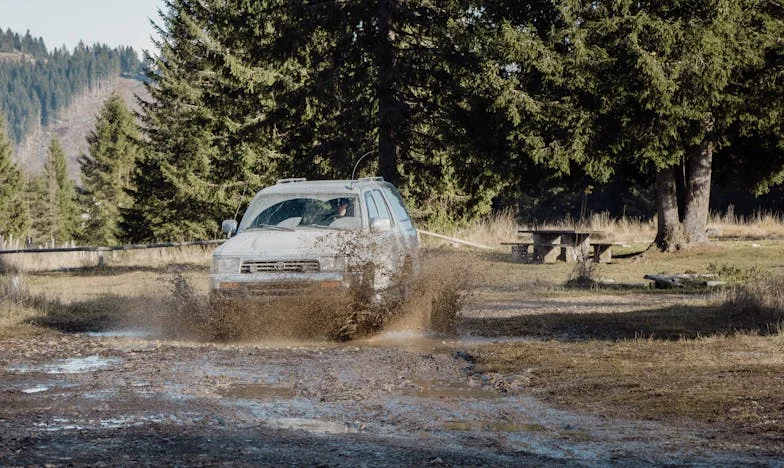 Az utolsó kiáltás a Levendula utcában – Egy hétköznapi nő, aki mindent megváltoztatott