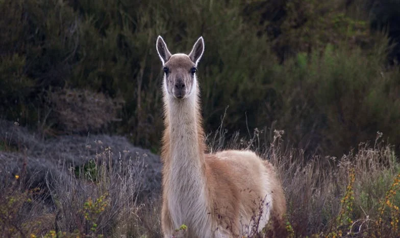 Az utolsó választás a kereszteződésnél: Megéri-e a pénz a család szétszakadását?