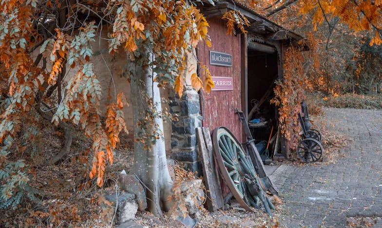 Csend és Vihar Között: Az Utam a Menyemhez, Dórához