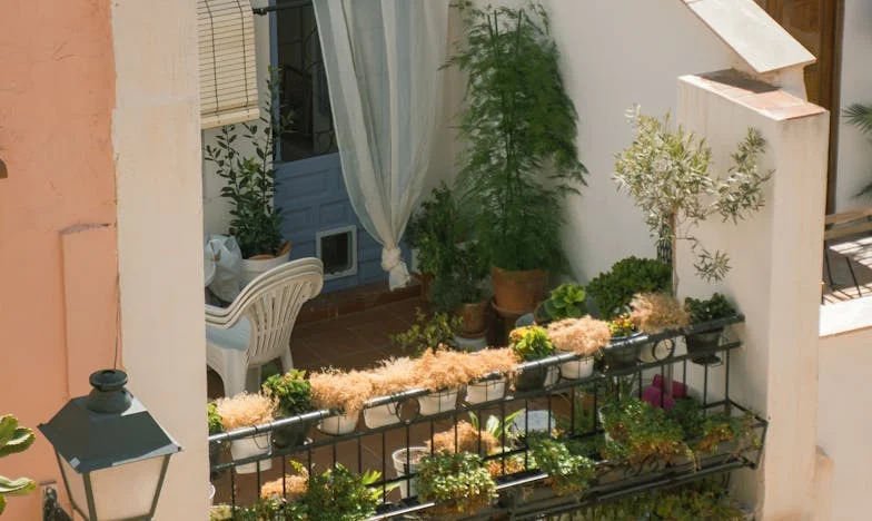 Egy anya összetört szíve: Fiam sírkövének eltűnése és a falu titkai