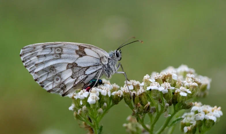 Egy éjszaka, amikor minden összeomlott: Amikor megtudtam, hogy Gábor másba szerelmes
