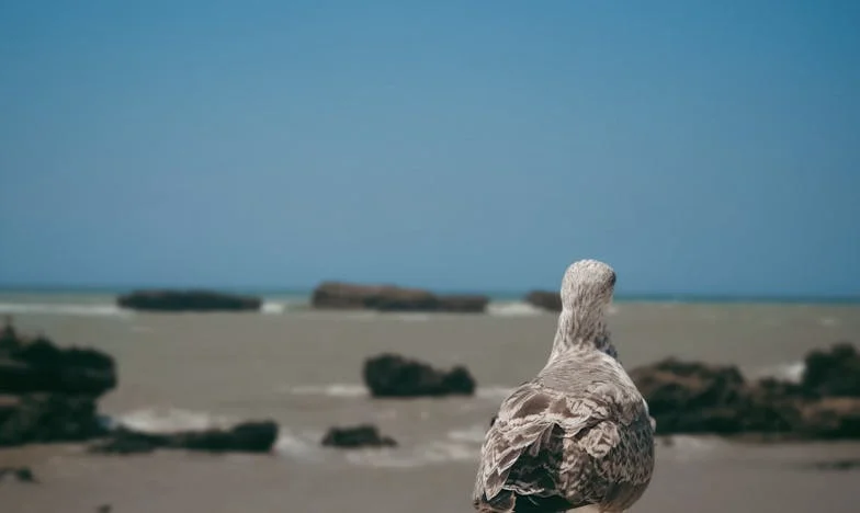 Egy szülés, amely örökre megváltoztatta a családomat: Anyósom, anyám és a határok, amiket nem lehet visszavonni