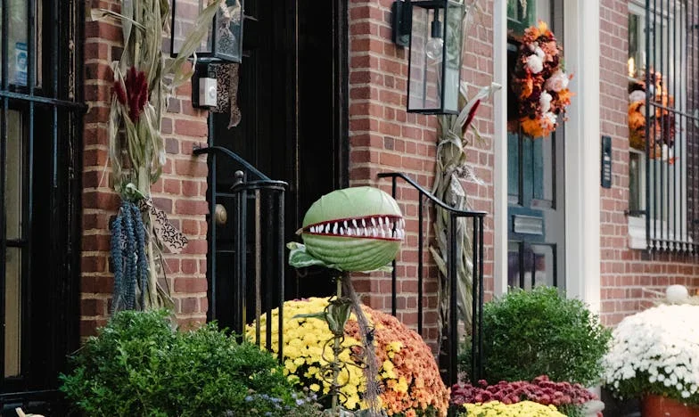 Egy telefon, ami mindent megváltoztatott – Magda története Pozsonyból