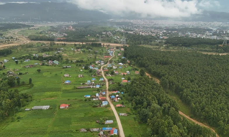 Egy Törött Otthon Árnyékában: Zsófia Csendes Kiáltása